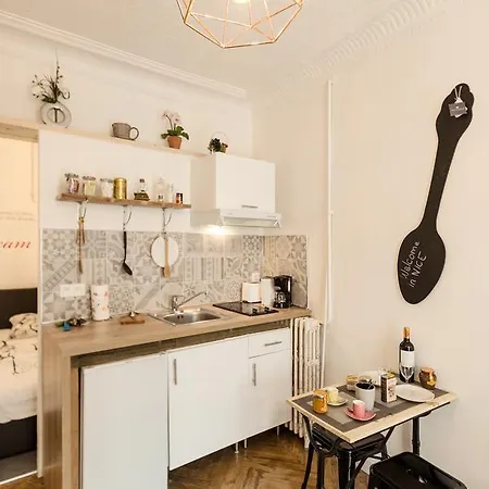 Amazing 1 Bedroom Loft In Centre Seafront Nice